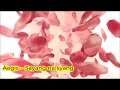 Lagu Aegis -  Sayang na sayang Lyrics