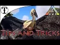 Fast Ichthyornis Taming Guide Ark Survival Evolved Tips and Tricks