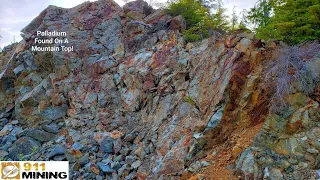 Palladium Filling Fractures In A Oxidized Outcrop