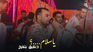 عندما يبدع كروان الصعيد ويتألق الموسيقار مهند السعيد 