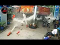 Download Lagu Incredible Moments Caught on Camera | Right Now Around the World 2025 (P204)