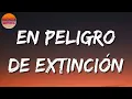 ♬ La Adictiva - En Peligro De Extinción (Letras\Lyrics)