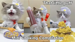 🤗Mini recipes! | That Little Puff