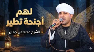 الشيخ مصطفى جمال ٢٠٢٥ لهم أجنحة تطير دندنها