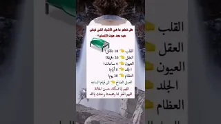 الاشياء التي تبقى حية بعد موت الانسان Shorts 