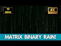 Matrix Binary Falling Rain Code Screensaver 10 Minutes Screensaver Live Wallpaper No