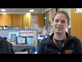 Dog Training Bozeman