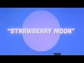 Strawberry Moon (Official Music Video) | Blue Water Highway