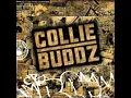 Mamacita - Collie Buddz