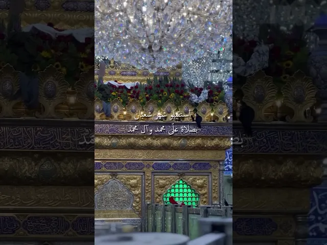 اللهم صل على محمد وآل محمد 🌱🤍