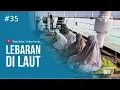 Download Lagu LEBARAN DI LAUT - Ekspedisi Indonesia Biru #35