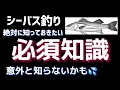 Channel