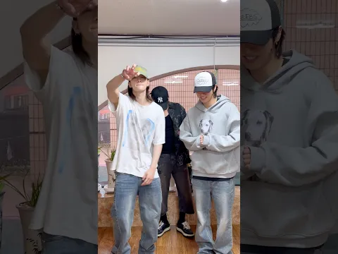 HAN, Changbin, Hyunjin 🦖