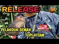 Download Lagu RELEASE PELANDUK TOPI HITAM KE ALAM LIAR