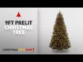 Most Popular 9Ft Prelit Christmas Tree National Tree 9-Foot North Valley Spruce Tree with 700 Clear