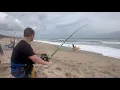 Spring 2024 Reed - Deep Drop Blacktip Shark NSBSHARKHUNTERS