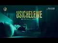 Download Lagu Walter Chilambo-Usichelewe (official Lyrics video)