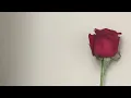 Download Lagu CE FACE PERSOANA DUMNEAVOASTRĂ?💌💞🤗🍀