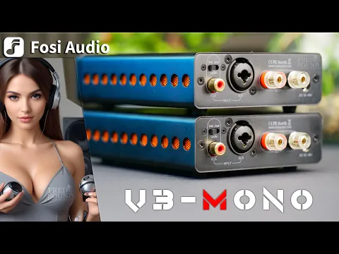 Download MP3 Fosi Audio V3 MONO