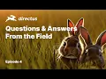 From The Field Q A With P J - Notifications Bulk Publishing Localizations SSO