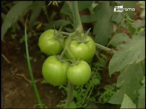 Ecuador Agropecuario 08-11-2017