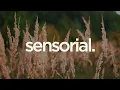 &ME, Rampa, Adam Port, Keinemusik, chuala  - Say What (feat  Chuala feat  Chuala)