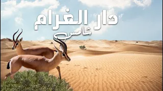 شامس دار الغرام حصريا 2025 