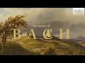 The Genius of J.S. Bach | Brilliant Oboe Concertos