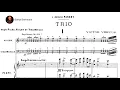 Download Lagu Victor Vreuls - Piano Trio, Op. 1 (1896)