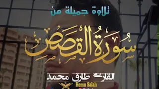 تلاوة جميلة من سورة القصص قصة قارون طارق محمد Surah Al Qassas Taraq Muhammad 