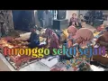 Download Lagu Gending Banyumasan Ebeg Turonggo Sekti Sejati