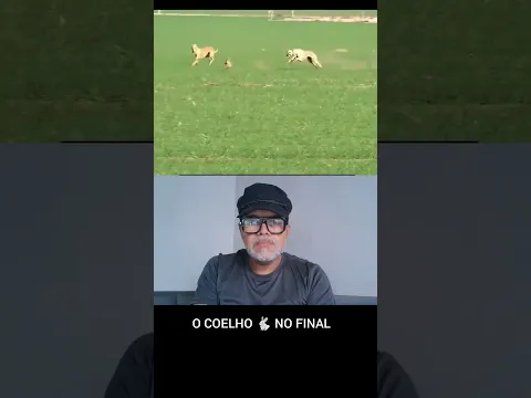 Siga o coelho 🐰