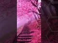 Download Lagu Mesmerizing Cherry Blossom Bloom | Nature’s Pink Paradise 🌸✨” #travel #worldtravel #worldattractions