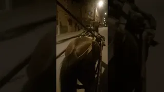 مواهب إبن جرير البهجة كل يوم يجيني مساج 