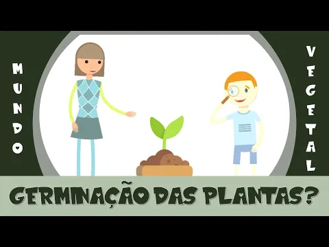 Download MP3 3. Mundo Vegetal - Germinação das Plantas / Como uma semente se torna uma planta?