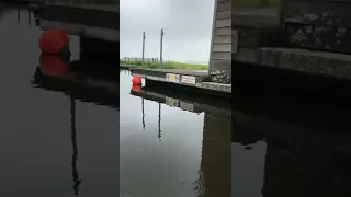 Doing groceries the new way on board of Lady Liselot