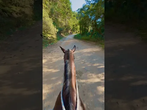 CAÍ DO CAVALO, E AGORA? - MADU DE PAOLI