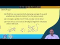 Lecture 45 Optimisers RMSProp AdaDelta and Adam Optimiser