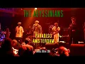 ABYSSINIANS "Declaration Of Rights" Paradiso, Amsterdam 2011