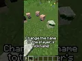 How To Get Player s Heads in Minecraft