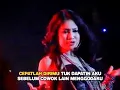Download Lagu Suliyana - Bilang I Love You | Dangdut [OFFICIAL]