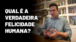 Felicidade e sentido da vida em Viktor Frankl