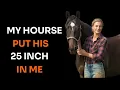 While My Husband Was Away I Found Strength With Our Horse A True Story of Compassion