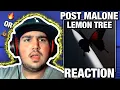 STOP BEING SO SOUR POST MALONE - LEMON TREE REACTION