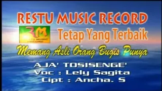 Download Lagu Bugis Aja' Tosisenge' - Lely Sagita (Official Music Video) MP3