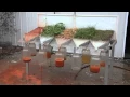 Rainfall simulator soil health and rain events