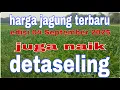 Download Lagu Harga jagung hari ini 04 September 2025@Petanimuda2putra 