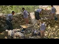 Download Lagu Nomadic Life: Nomadic Secrets of Building 🐑 |Nomadic Mountain Life Hacks ⛰️