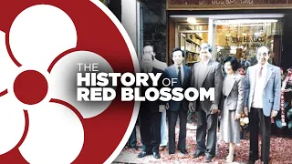 Download The Red Blossom Story MP3