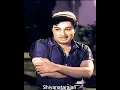 Lagu MGR SAROJADEVI SONG#short #Nadodi#msv#Tms p.susila